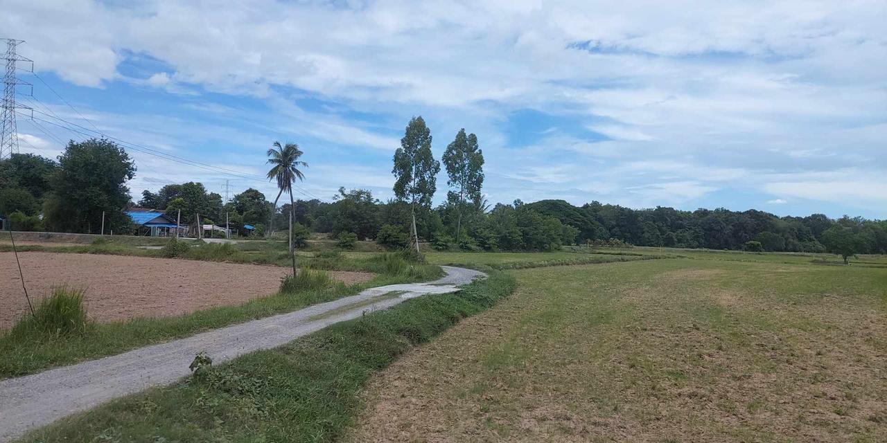 ขายที่ดิน  2
