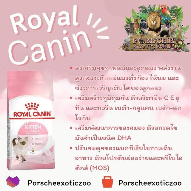 อาหารและอุปกรณ์สัตว์เลี้ยง 6