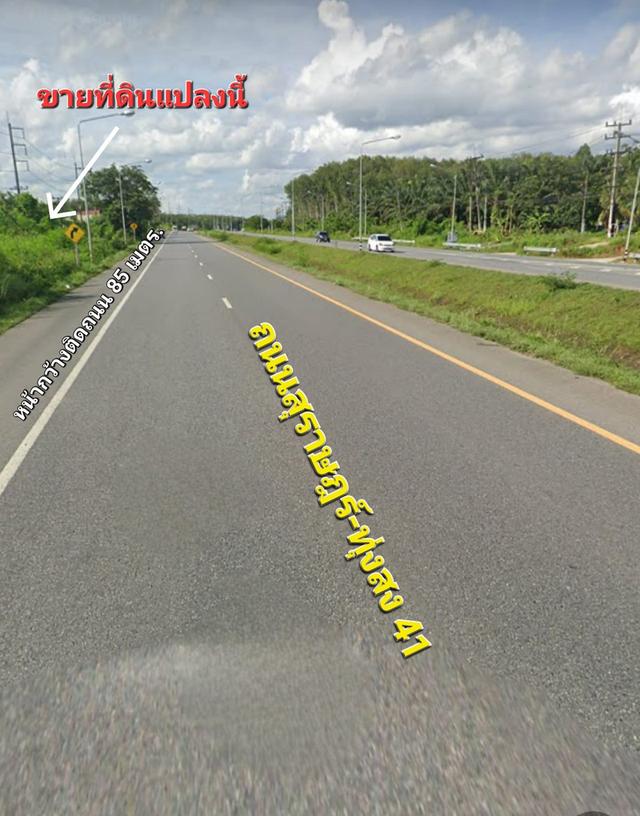 ขายที่ดินติดถนนเอเขีย41 สุราษฯ-ทุ่งสง 10