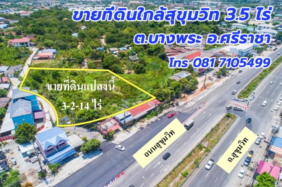 ขายที่ดินบางพระ ชลบุรี 3.5 ไร่ใกล้ถนนสุขุมวิท เหมาะทำโครงการที่อยู่อาศัย โรงแรม รีสอร์ต สำนักงาน 1