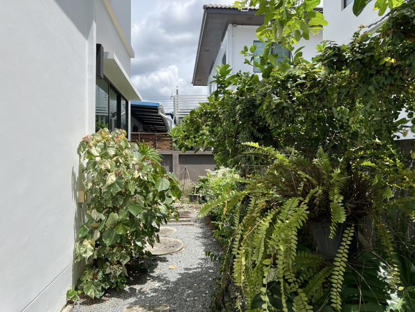 ขาย บ้านเดี่ยว มัณฑนา 3 Montana Onnut – Wongwaen 3 53 ตรว. 160 ตรม. 2 ชั้น ทำเลดี ราคาต่ำกว่าตลาด 2