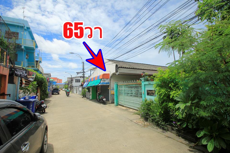 ที่ดินสุขุมวิท117 ซ.ภาณุวงศ์14 แถมบ้านเดี่ยว1ชั้น ทำเลดี ค้าขายได้ 65ตารางวา ปัจจุบันเป็นบ้านเช่า สภาพดีโครงสร้างแข็งแรง ใกล้รถไฟฟ้าปู่เจ้า 2