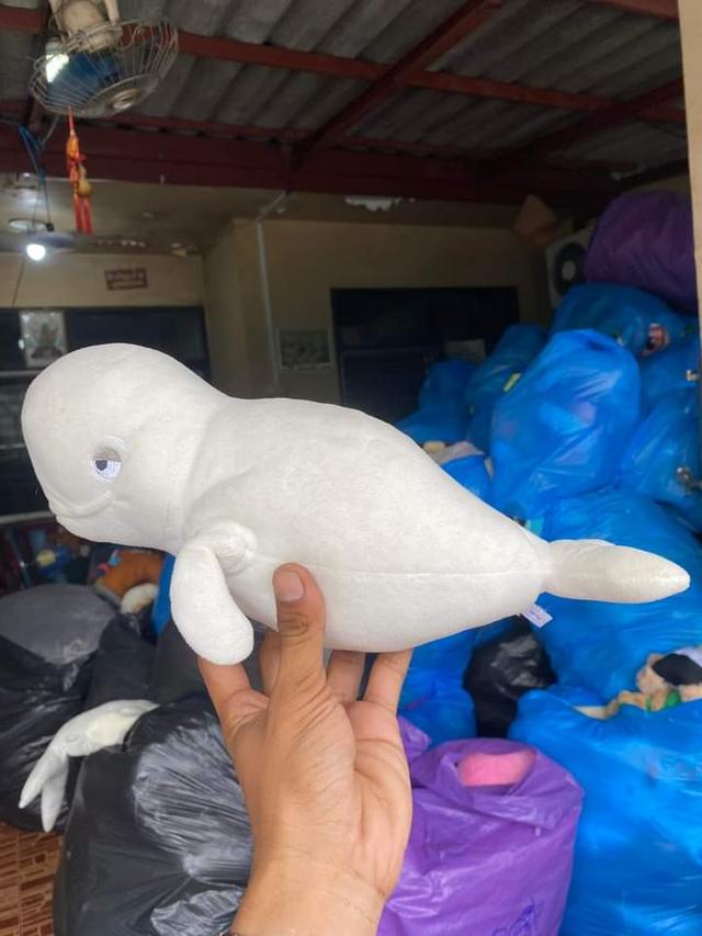 Beluga Whale Plush 3