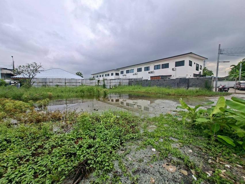 ขายด่วนที่ดินถมแล้วแปลงสวย 165 ตร.ว. ซ.เฉลิมพระเกียรติ ร.9 ซอย14 แยก23 แขวงหนองบอน เขตประเวศ ( N.1475 ) 5