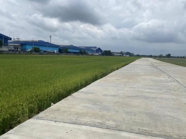 ขายที่ดิน 5 ไร่ (แบ่งขาย) เขต EEC ติดถนนสาธารณะ ถนนกว้าง 8-10 เมตร เมืองฉะเชิงเทรา (ผังสีม่วงจุดสีขาว) 3