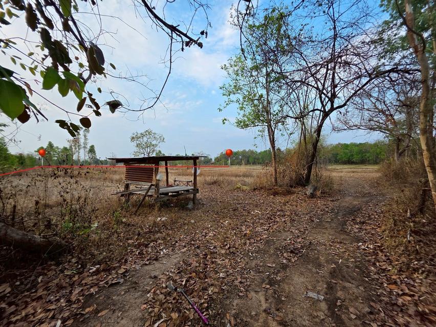 ขายด่วน ที่ดิน ติดรั้วหลัง ม.เกษตรศาสตร์ จังหวัดสกลนคร 5