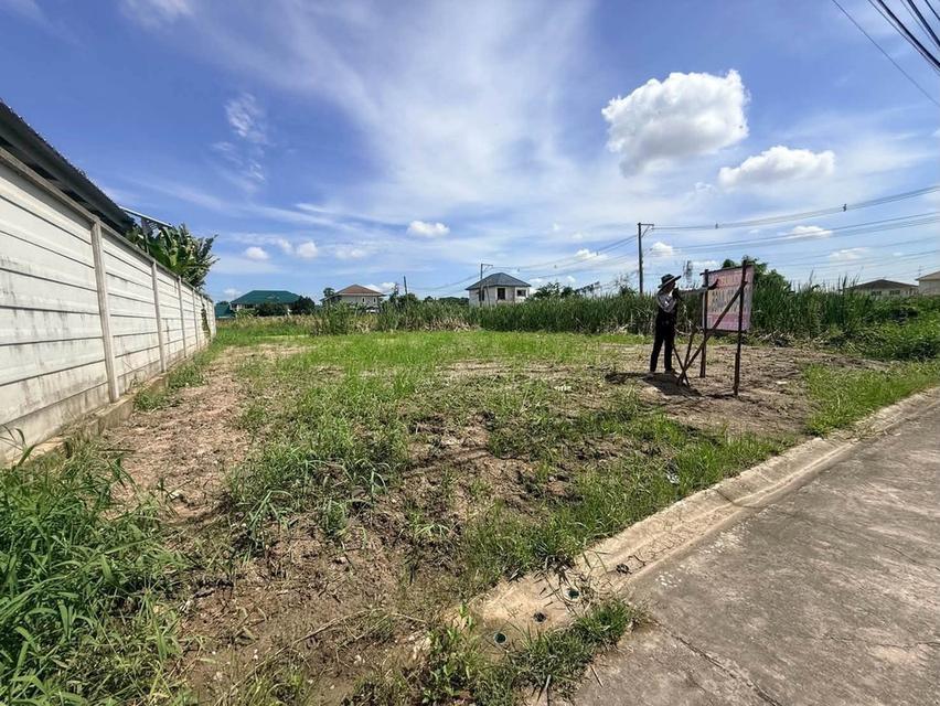 ขายด่วนที่ดินสายสอง 90 ตรว ติดถนนคอนกรีต ถมแล้ว พุทธมณฑลสาย 2 ซอย 21 เขตตลิ่งชัน กทม. 4