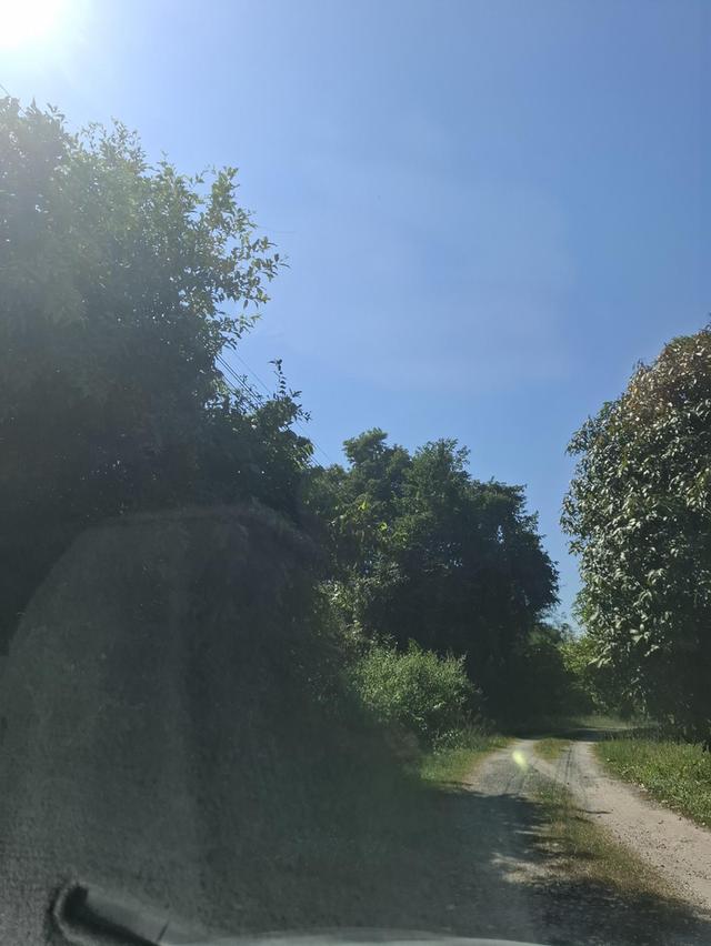 ที่ดินเปล่า 2 แปลงติดกัน หน้าติดถนนซอยบ้านดอนแต้วพัฒนา ต.พิกุลออก อ.บ้านนา จ.นครนายก 9