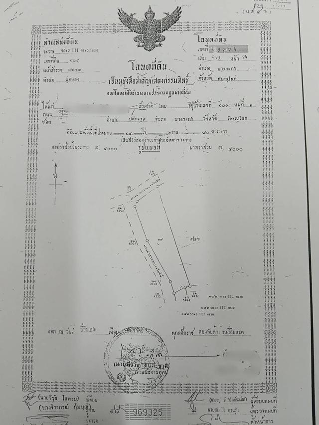 ขายที่ดิน อ.บางระกำ จ.พิษณุโลก 1