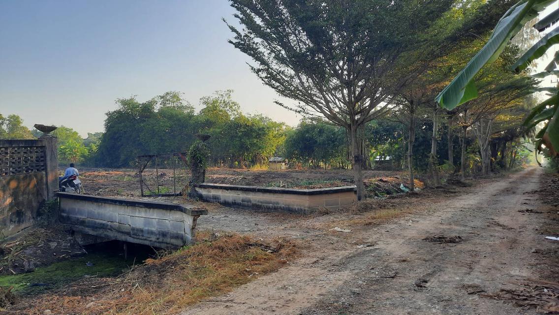 ขายที่ดิน 4 ไร่ คลองหลวง ซอยคลองหกตะวันตก 17 (ซอยสุทธิพันธุ์ 4)