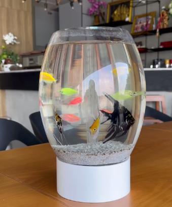 โหลตู้ปลาเคลื่อนที่  โหลตู้ปลาเชิงนิเวศและเสริมฮวงจุ้ย กลมวงรีสวยงามมากแบบตั้งโต๊ะ รูปที่ 2