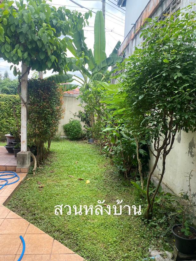 บ้านเดี่ยวพร้อมที่ดิน 5