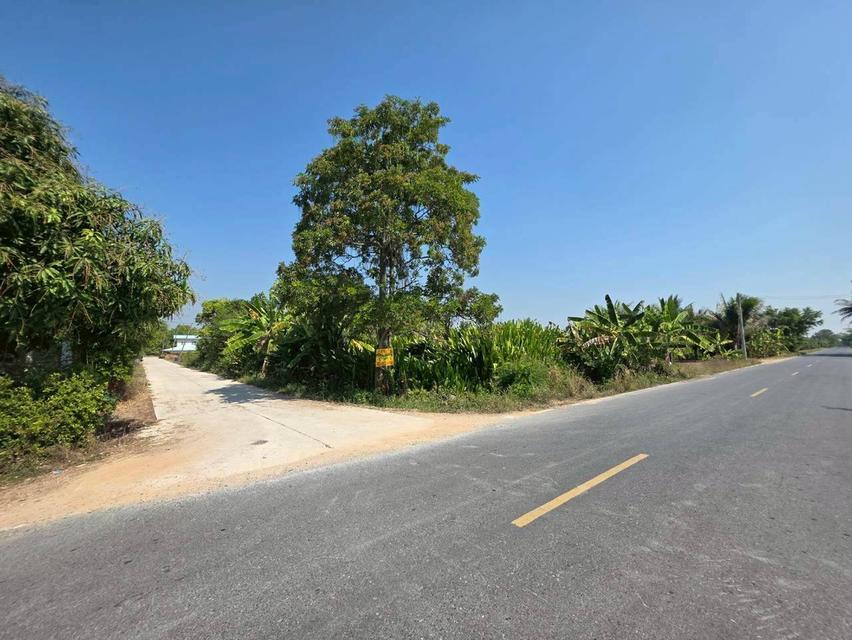 ขายที่ดินองครักษ์ นครนายก คลอง22 ใกล้วัดราษฎร์ศรัทธาราม 3