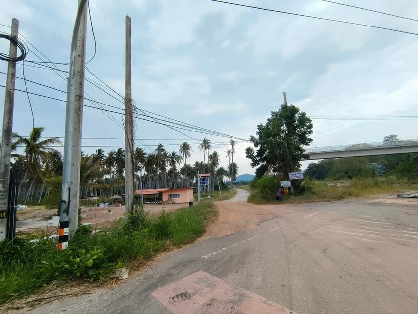 ขายที่ดินสวย ทำเลดี ติดคลองอ่างทอง ใกล้ชายทะเลทับสะแก ประจวบคีรีขันธ์ 3