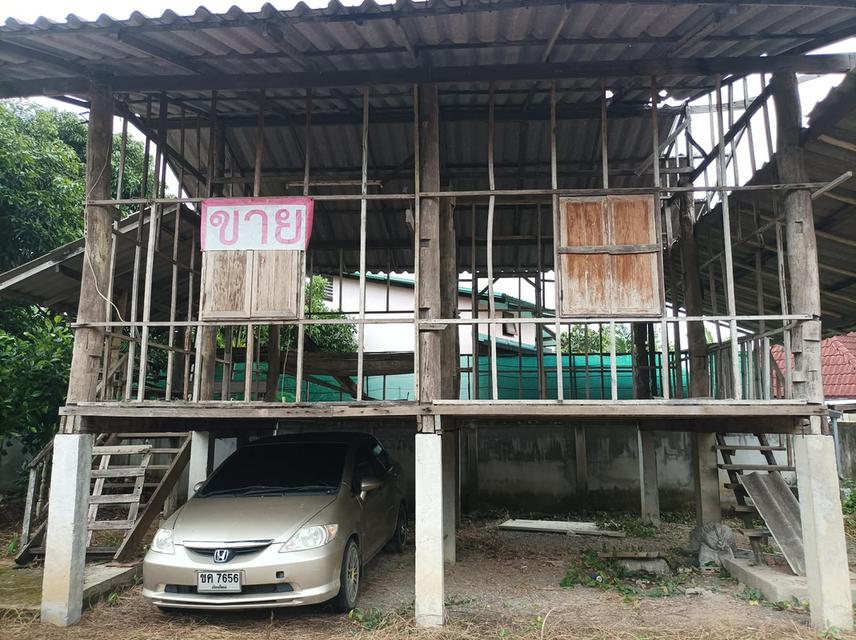 ขายที่ดิน 95ตร.ว. ต.เชิงดอย อ.ดอยสะเก็ด จ.เชียงใหม่