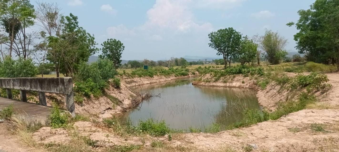 ที่ดิน 128 ไร่ โฉนด ตั้งอยู่ตำบลบางชัน อำเภอเมือง จังหวัดสระบุรี  9