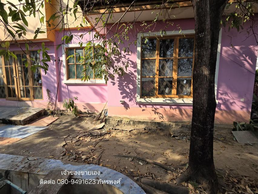 🔥 ขายต่ำกว่าราคาประเมิน! แปลงมุม "ทรงถุงเงิน" 62.2 ตร.ว. (ฟรีโอน) เจ้าของขายเอง - หมู่บ้านชัยพฤกษ์ บางขุนเทียน 6