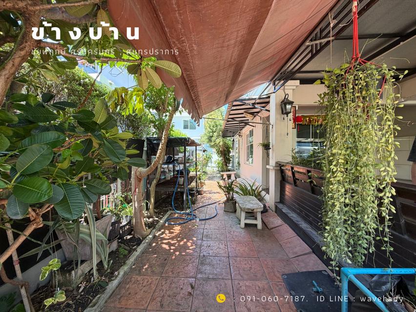 บ้านเดี่ยว ชัยพฤกษ์ ศรีนครินทร์ สมุทรปราการ 5