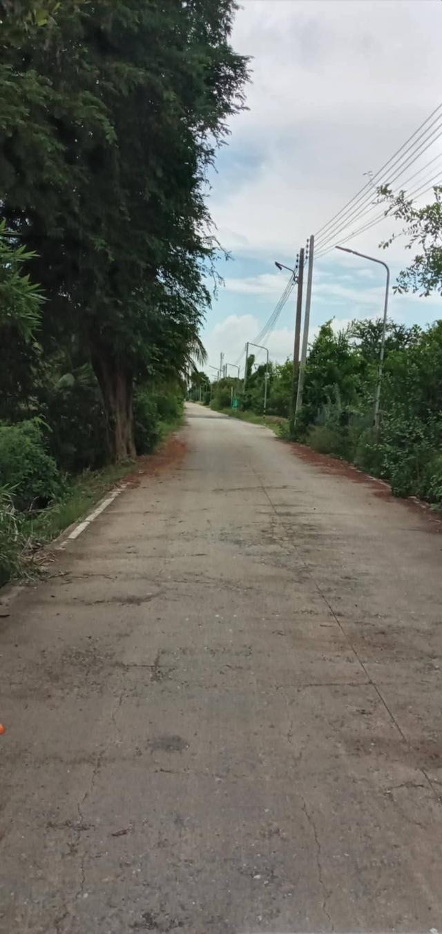 ที่ดินสวยลาดหลุมแก้ว 4