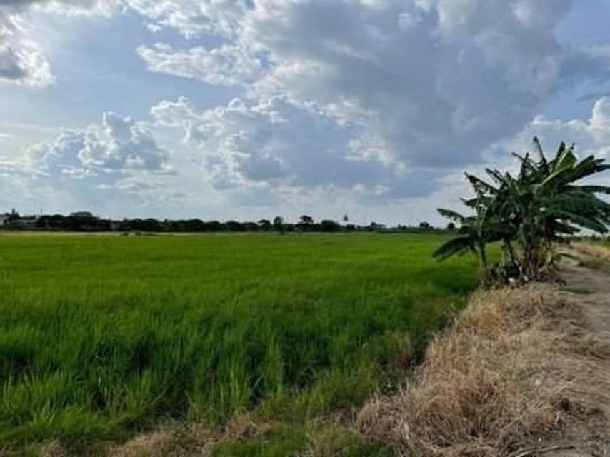 ขายด่วน : ที่ดิน ติดถนน ตรงข้าม เพอร์เฟ็ค พาร์ค บางใหญ่ นนทบุรี . 11