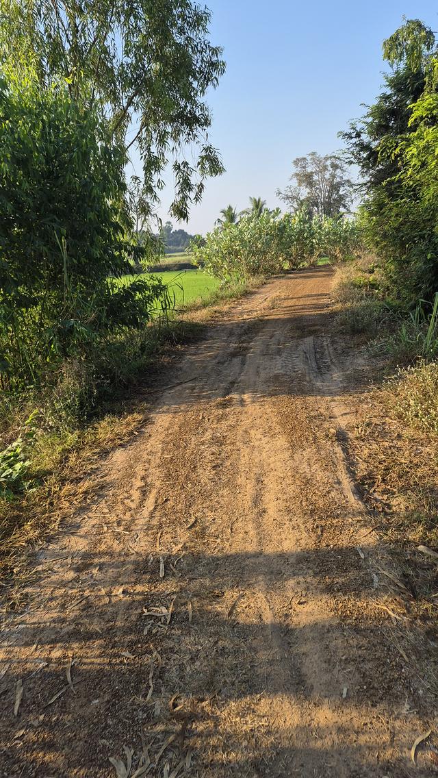 🔥🌾 ที่นาทำเลดี น้ำพร้อม ราคาคุ้มสุดในโซน! 🌾🔥 📣 #ขายที่นา เนื้อที่ 5 ไร่ 3 งาน 68 ตร.วา 💼 เหมาะทำนา / ทำเกษตร / ลงทุนระยะยาว 📍 พิกัด: บ้านเนินมะ 16
