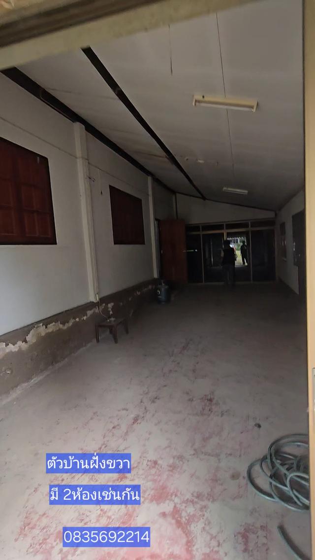 บ้านไม้ 2ชั้น ลำพูน ที่กว้าง ทำเลดี 4