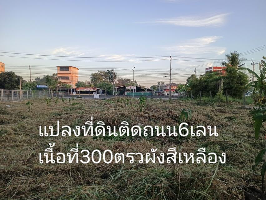 ที่ดินเปล่าหนองจอก กรุงเทพ 6