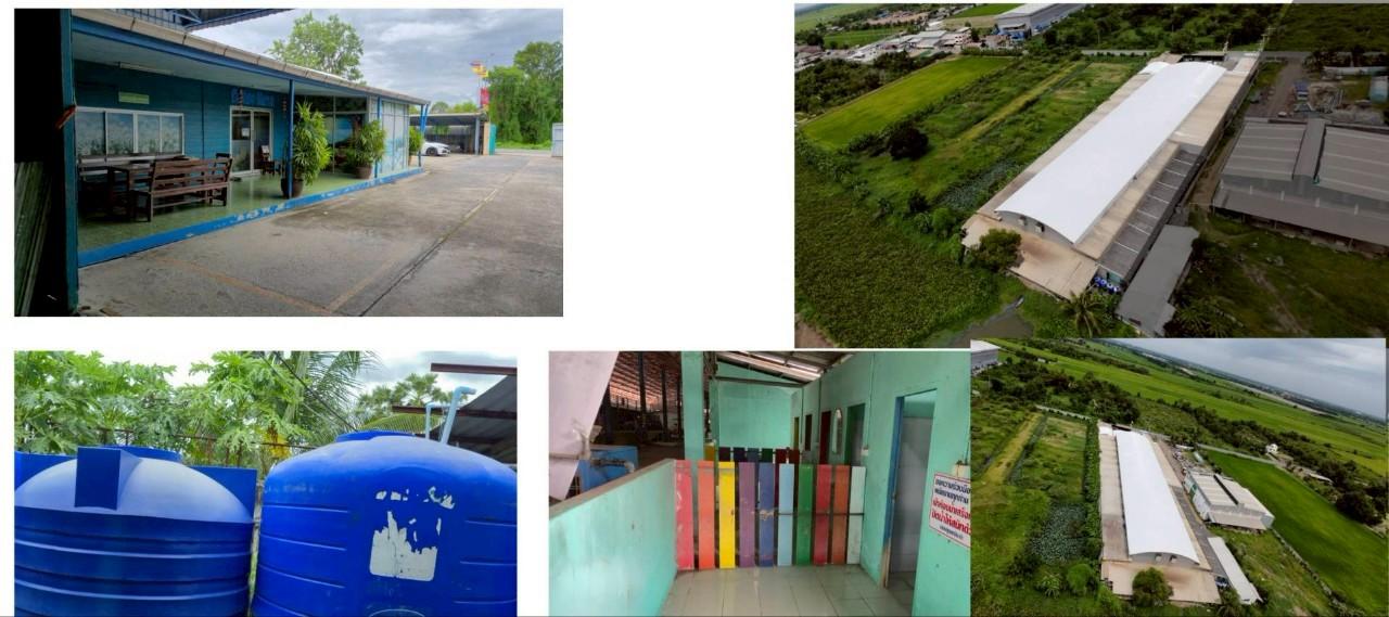 ที่ดินพร้อมโรงงานและคลังสินค้า ลำลูกกา-คลอง 14 ทำเลสวย ติดถนนเดินทางสะดวก ห่างจากถนนลำลูกกา 350 เมตร ด้านหลังติดคลอง 14 3