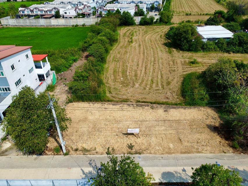 ให้เช่าที่ดินถมแล้ว 122 ตร.วา หน้ากว้าง 35 ม. 5