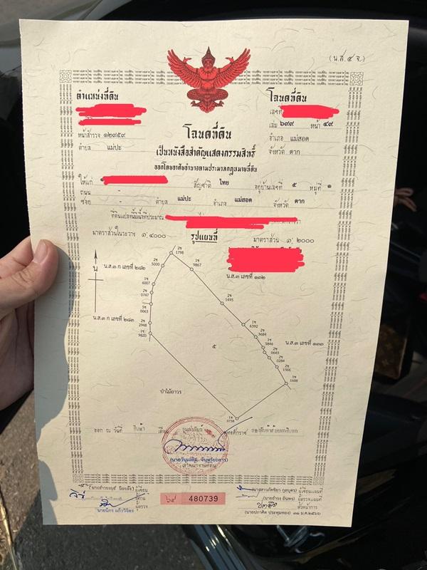 ด่วน ขายที่ดินแม่สอด-ห้วยกระโหลก จังหวัดตาก จำนวน 42 ไร่ (ที่ดินมีโฉนด นส.4 ครุฑแดงแปลงเดียวในย่านนี้) รูปย่อยที่ 5