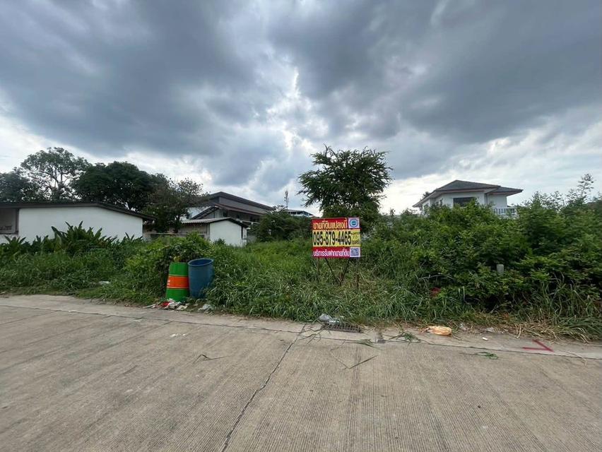 ขายด่วนที่ดินผังม่วง 101 ตรว ติดถนนคอนกรีต ถมแล้ว ซ.นวนทอง 23 กระทุ่มแบน สมุทรสาคร 1