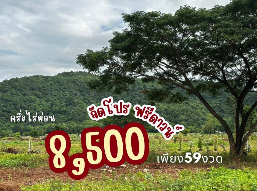 ที่ดิน เขาปากกว้าง โพธาราม ราชบุรี ขนาด 100 ตร.วา - 1 ไร่  4