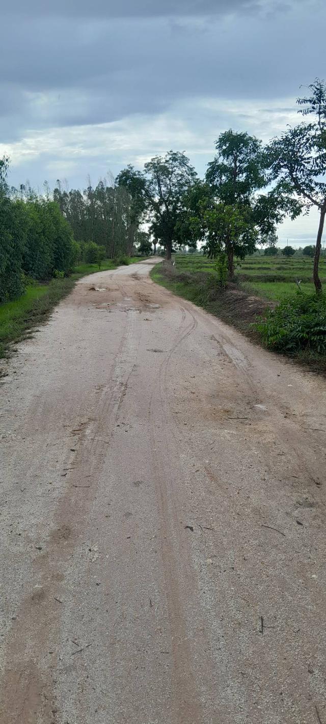 ที่ดิน 2