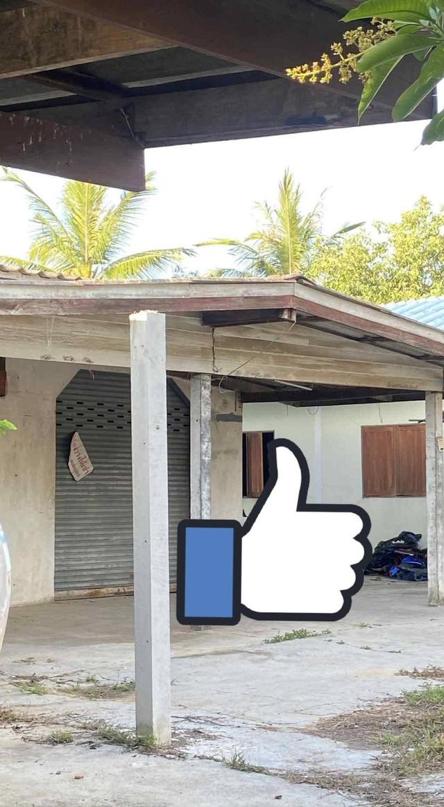 ขายบ้านพร้อมที่ดิน 2