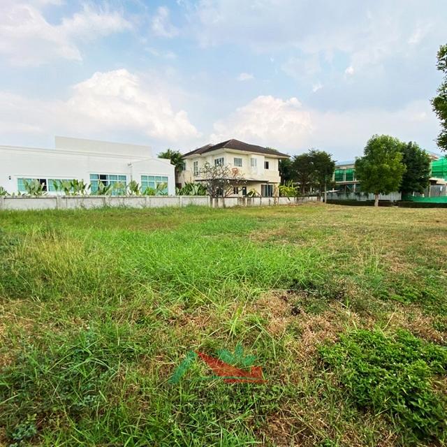 ขายที่ดินเปล่าในโครงการ ดีฮาบิแทต ราชพฤกษ์ ขนาด105.8ตรว. แปลงมุม ถมแล้ว 2