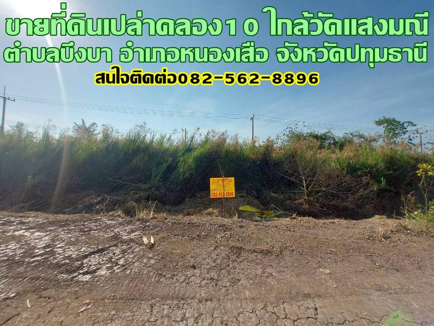 ขายที่ดินเปล่าคลอง10 หนองเสือ ใกล้วัดแสงมณี 1