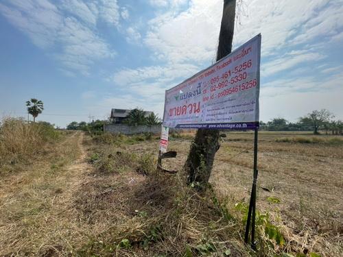 ขายที่ดิน 3 งาน 78.0 ตรว. ต.ขามทะเลสอ อ.ขามทะเลสอ จ.นครราชสีมา 2