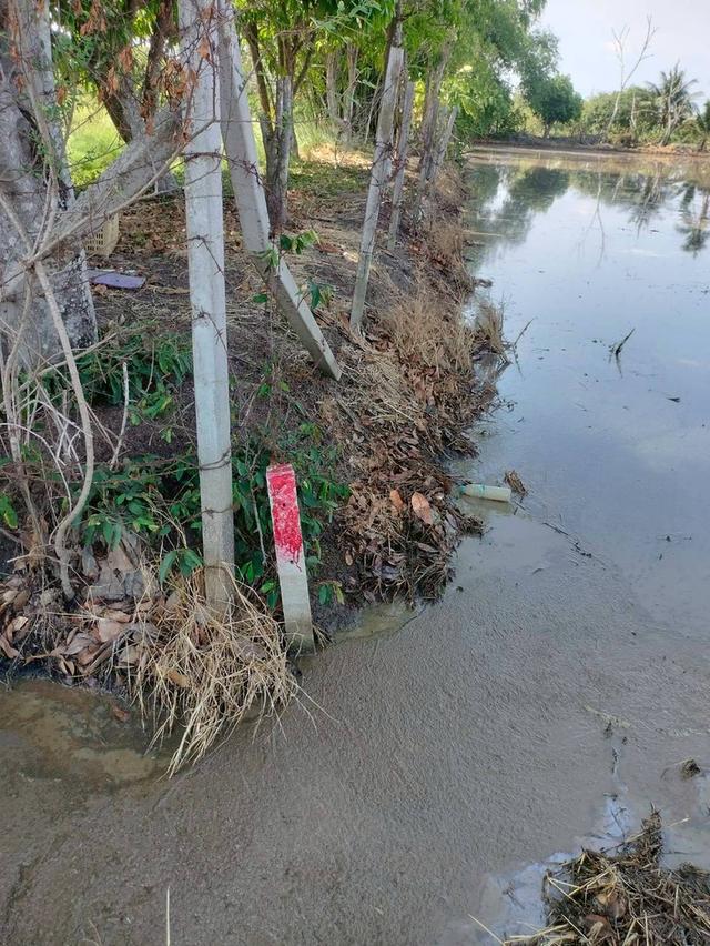 ขายด่วนที่ดิน 765 ตรว ติดถนนสาธารณะ เลียบคลองสิบสามฝั่งตะวันออก 38 หนองจอก กทม. 4