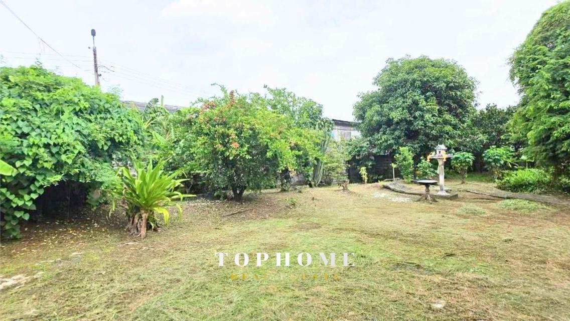 ขายด่วน❗️ ที่ดินพร้อมบ้าน ซอยชัยพฤกษ์ 18 ถมเเล้ว ใกล้ Central Pinklao 🏠ทำเลดี น่าลงทุน📌 6