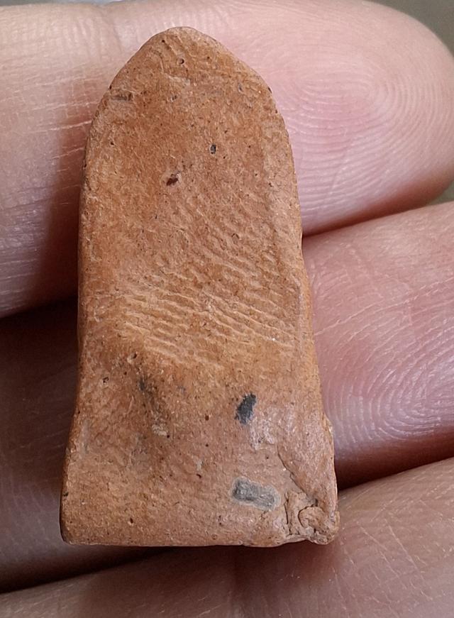 พระรอดเนื้อดิน สนใจทักสอบถามได้ค่ะ รูปที่ 2