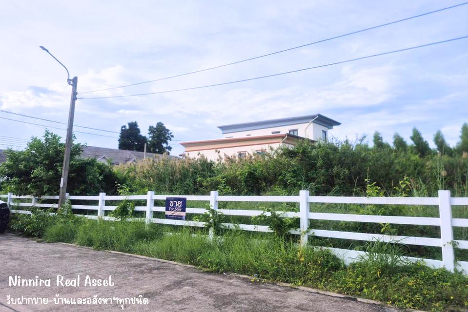 ขายที่ดิน 221 ตารางวา แปลงมุม เคหะร่มเกล้า 76 แขวง ราษฏร์พัฒนา เขตสะพานสูง กรุงเทพมหานคร 4