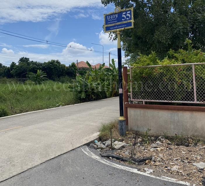 ที่ดินเปล่า 285 ตร.วา ซอยบงกช 55 คลอง 2 ปทุมธานี 9