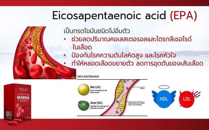 อาหารเสริมเพื่อสุขภาพมารีน่า ช่วยลดคอเลสเตอรอลไตรกลีเซอไรด์บำรุงหัวใจและหลอดเลือด 1 กล่องมี 4