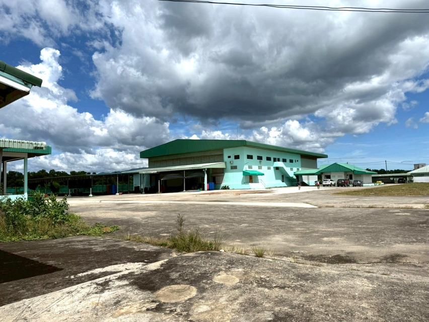 ขาย โรงงาน FA064 ฟรีสดาย ปากน้ำแหลมสิงห์ แหลมสิงห์ จันทบุรี . 4500 ตรม 11 ไร่ 41.4 ตรว มีใบอนุญาติ รง 4 ใบ แถมฟรีเครื่อง 2