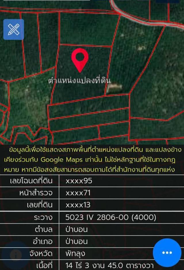 ที่ดินสวนยางพารา หมู่บ้านป่าบอนต่ำ อ.ป่าบอน จ..พัทลุง 7