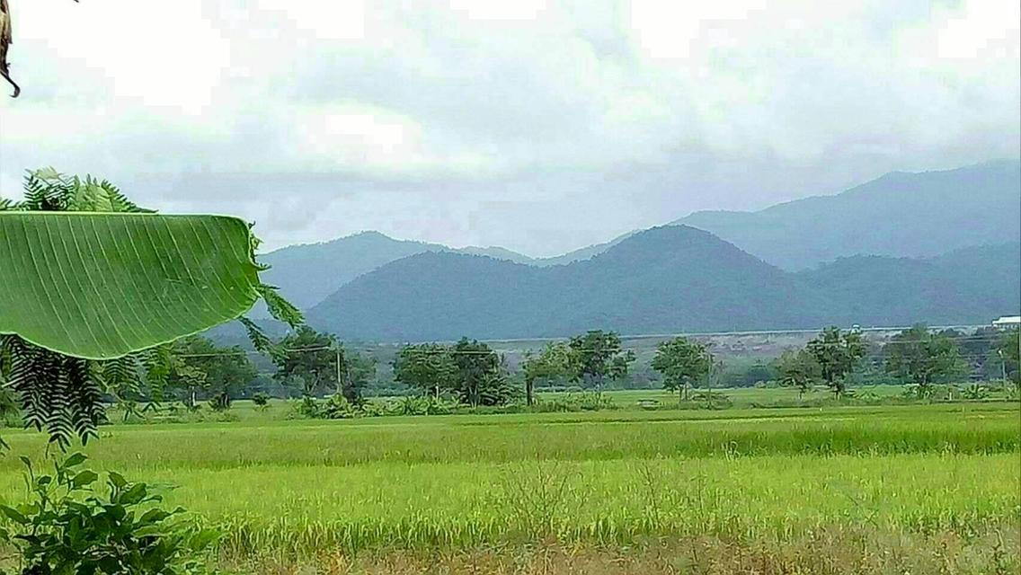 ขายด่วนที่ดินแม่แตงวิวดอยเหมาะทำบ้านพัก รูปที่ 12