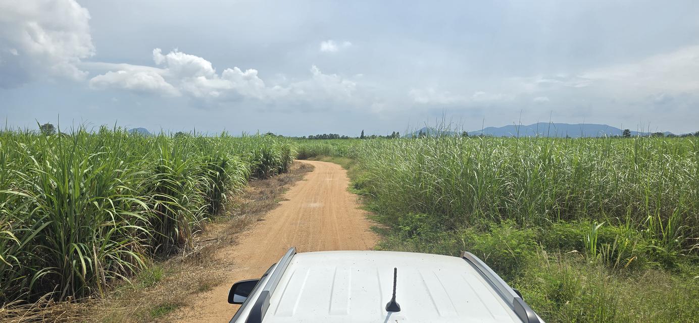 ขายที่ดิน23 ไร่2 งาน25 ตรว ครึ่ง 11