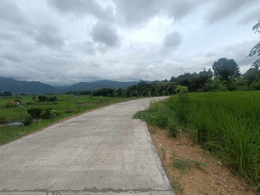 ขายที่ดิน อำเภอเชียงกลาง จังหวัดน่าน จำนวน 5-3-62 ไร่ 3