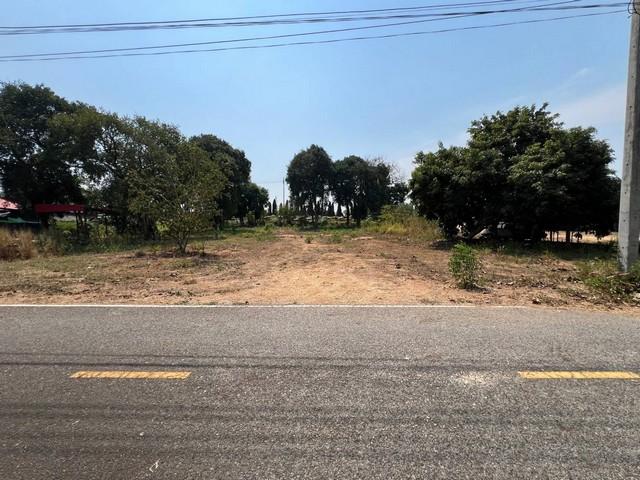 ขายที่ดิน ขนาด 1 ไร่ สี่เหลี่ยมสวยๆ ข้างสวนนงนุชพัทยา นาจอมเทียน สัตหีบ ชลบุรี 6