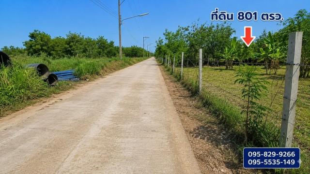 ขายที่ดินถมแล้ว 2-0-01ไร่ โครงการ Wellness City (เวลเนสซิตี้) เพื่อการพักวัยเกษียณ ใกล้ถนนปทุมธานี-สามโคก-เสนา (ทล.3111) 3